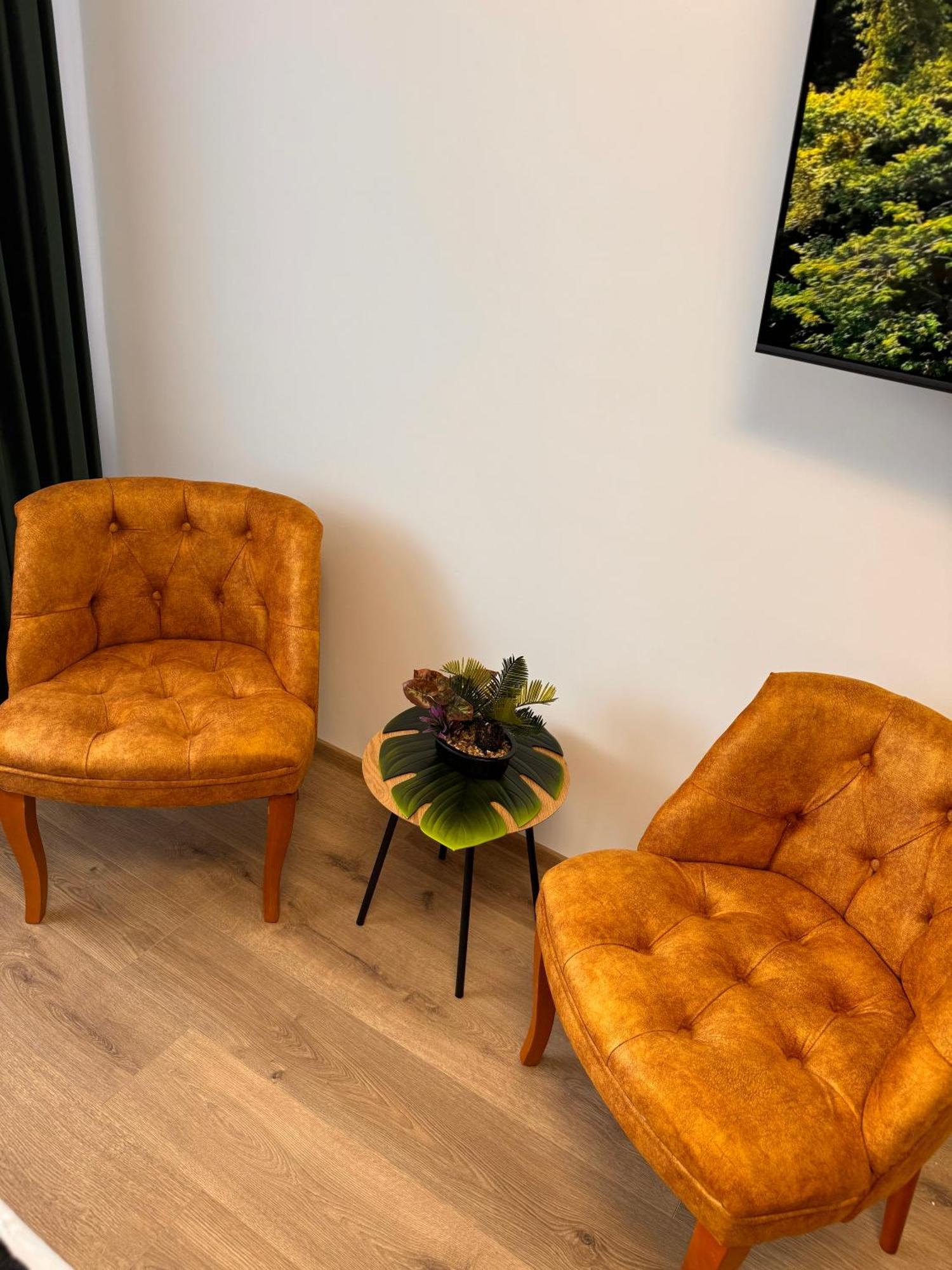 Appartamento Jungle Loft Suceava Esterno foto